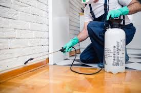 Best Pest Control for Hotels  in Pelican Rapids, MN